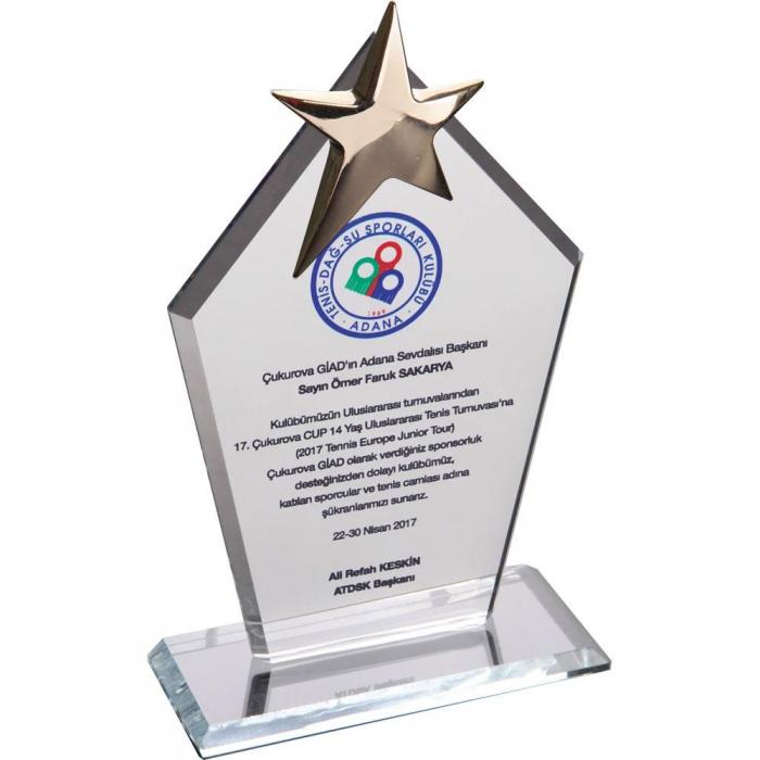 Kristal Plaket ( 12 x 21 cm )